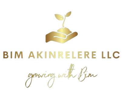 Bim Akinrelere LLC